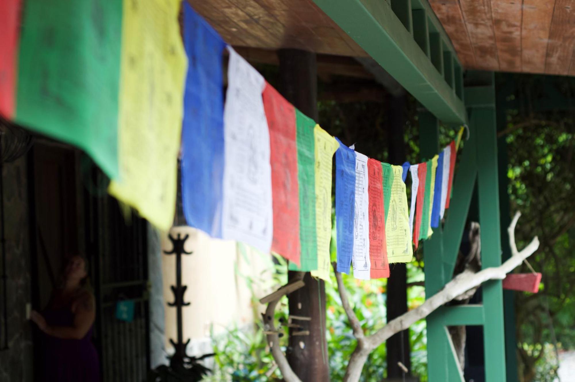 Soul Sync Sanctuary Formally Hacienda La Moringa Apartment Playa Hermosa  Exterior foto